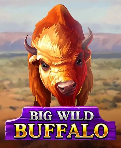 Play Big Wild Buffalo at Paradise 8 Casino